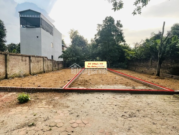 CHÍNH CHỦ CẮT LỖ 300TR BÁN NHANH 2 LÔ MẶT ĐƯỜNG PHÚ CÁT, CÁCH ĐẠI HỌC QUỐC GIA 1KM.