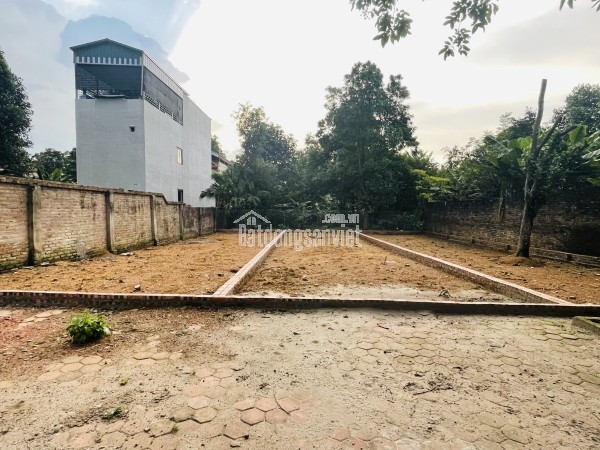 CHÍNH CHỦ CẮT LỖ 300TR BÁN NHANH 2 LÔ MẶT ĐƯỜNG PHÚ CÁT, CÁCH ĐẠI HỌC QUỐC GIA 1KM.