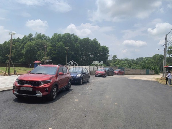 🔥 BÁN GẤP LÔ ĐẤT GIÁ SẬP SÀN – RẺ NHẤT KHU VỰC, MUA NGAY KẺO LỠ!