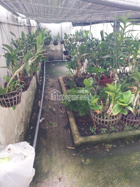 Bán nhà MT 98m2, sẵn 5 PN 5wc, Giá 8,5 tỷ Huỳnh Văn Nghệ, P.15, Tân Bình