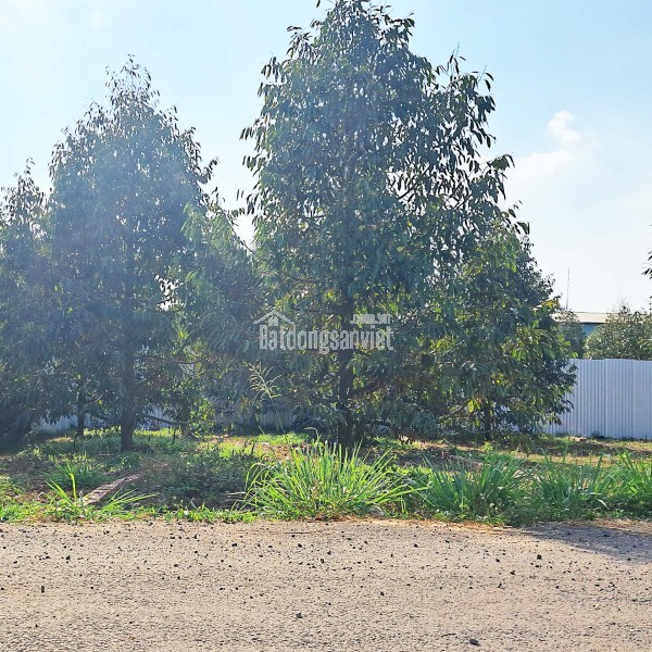 LÔ GÓC 2 MẶT TIỀN ĐƯỜNG  TT P. BẢO VINH, ĐN  CHỈ 218Tr/M