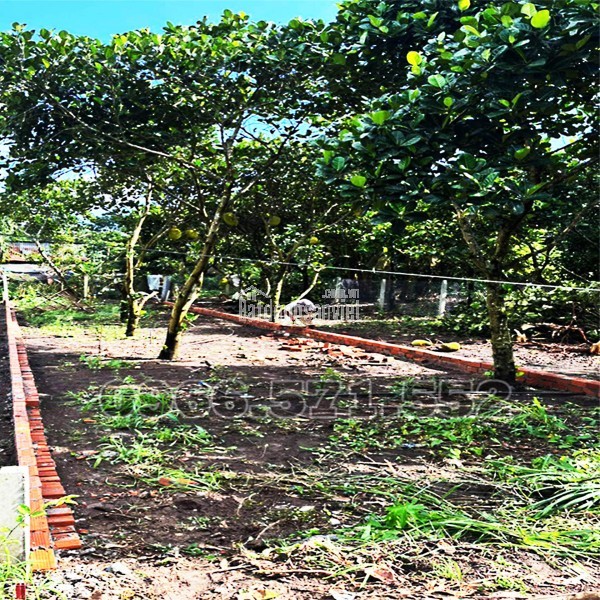 210m² THỔ CƯ, NGAY CHỢ HÀM NGHI – TP LONG KHÁNH – ĐN. CƠ HỘI X2,3 TÀI SẢN.