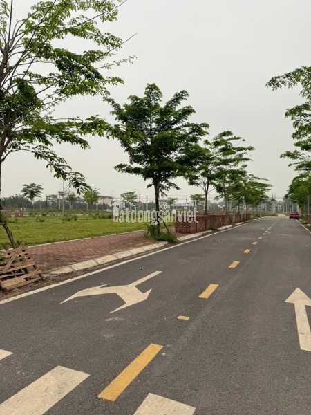 LÀN 2  QL21 HOÀ LẠC SÁT ĐẤT ĐẤU GIÁ QUÁ HIẾM LÔ ĐẤT TRỤC CHÍNH ĐỐI DIỆN TRƯỜNG CĐ CHẤT LƯỢNG CAO