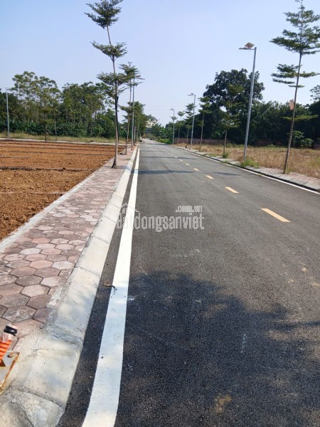 CỰC PHẨM HOÀ LẠC  – VỊ TRÍ ĐẸP, GIÁ TỐT