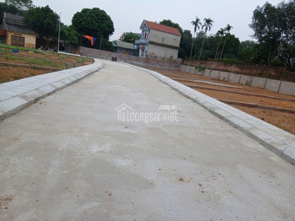 CỰC PHẨM HOÀ LẠC  – VỊ TRÍ ĐẸP, GIÁ TỐT