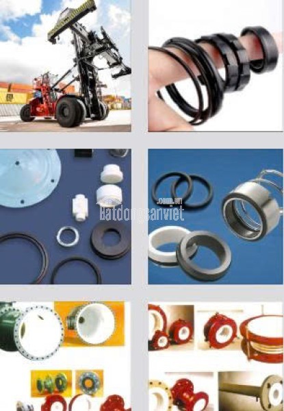 PTFE TRONG SEALING – NGUYÊN LÝ KỸ THUẬT 0938225267