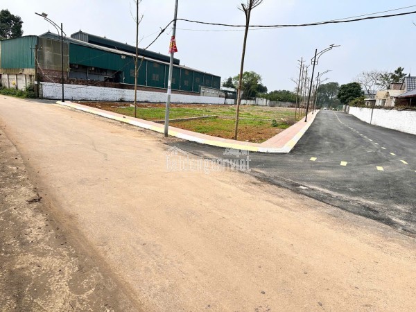 🧨 GIÁ SẬP SÀN – ĐẤT PHÚ CÁT VỊ TRÍ ĐẮC ĐỊA, ĐẦU TƯ LÀ THẮNG