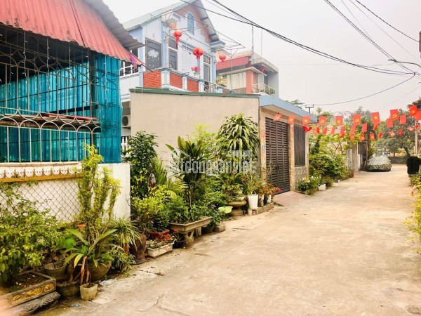 🧨 GIÁ SẬP SÀN – ĐẤT PHÚ CÁT VỊ TRÍ ĐẮC ĐỊA, ĐẦU TƯ LÀ THẮNG