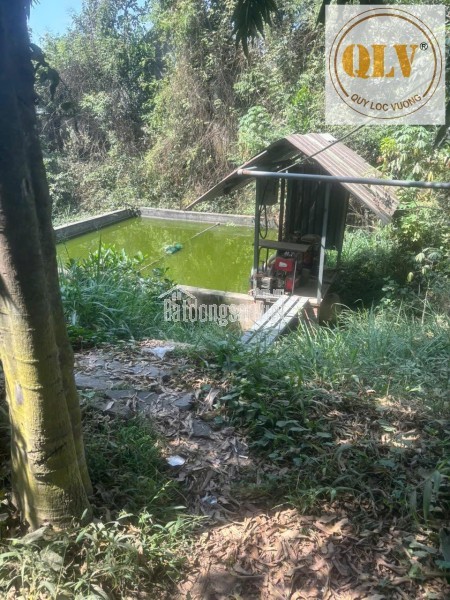 Cho thuê nhà xưởng – Phước Tân, Biên Hòa, Đồng Nai – 3.000m²