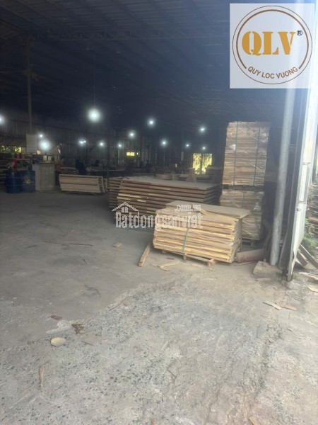 Cho thuê nhà xưởng – Phước Tân, Biên Hòa, Đồng Nai – 3.000m²