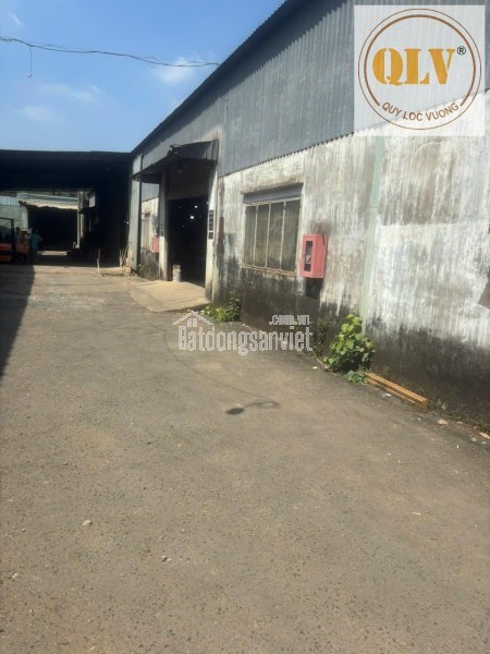 Cho thuê nhà xưởng – Phước Tân, Biên Hòa, Đồng Nai – 3.000m²