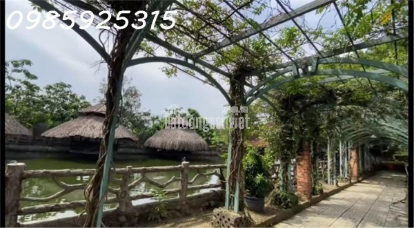 BÁN 1.4HA MẶT TIỀN BÌNH PHÚ – TP THỦ ĐỨC  GIÁ CHỈ 200 TỶ (~17TR/M²)