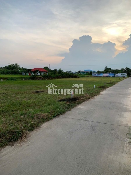 290 triệu có ngay đất vàng tại Bình Ân Gò Công Đông