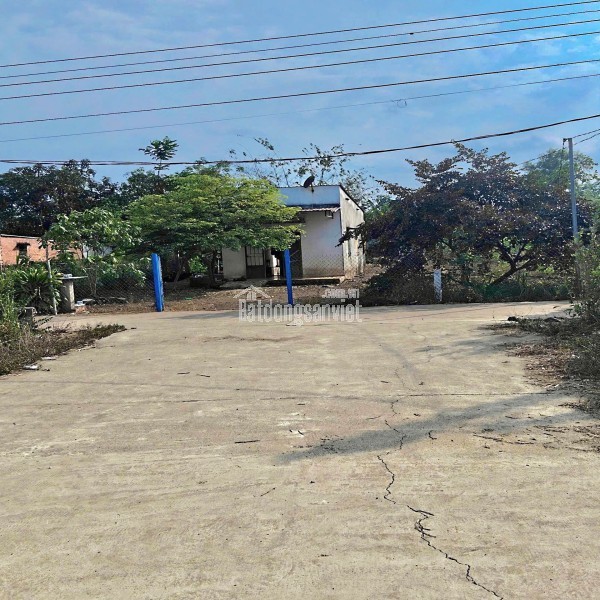ĐẤT NỀN MT ĐƯỜNG NHỰA, CHỈ 380Tr! NGAY CHỢ VÀ KCN LONG KHÁNH. ĐỒNG NAI