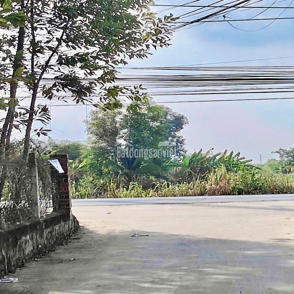 ĐẤT NỀN MT ĐƯỜNG NHỰA, CHỈ 380Tr! NGAY CHỢ VÀ KCN LONG KHÁNH. ĐỒNG NAI