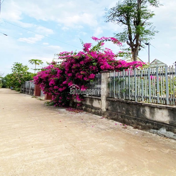 ĐẤT NỀN MT ĐƯỜNG NHỰA, CHỈ 380Tr! NGAY CHỢ VÀ KCN LONG KHÁNH. ĐỒNG NAI