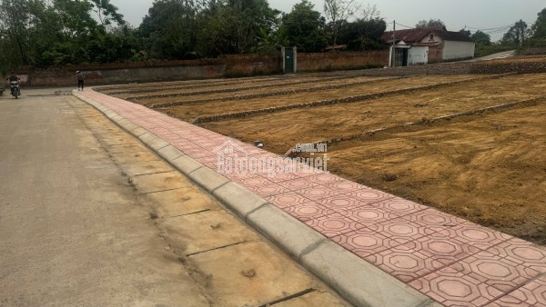 Bán Đất Thôn Cổng Sau, Hướng Đạo, khu công nghiệp Tam Dương 1, Vĩnh Phúc 100m, 800 triệu, xây nhà