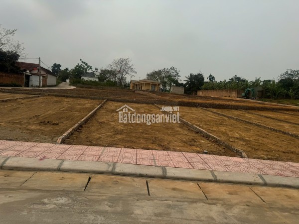 Bán Đất Thôn Cổng Sau, Hướng Đạo, khu công nghiệp Tam Dương 1, Vĩnh Phúc 100m, 800 triệu, xây nhà