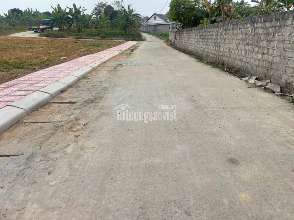 Bán Đất Thôn Cổng Sau, Hướng Đạo, khu công nghiệp Tam Dương 1, Vĩnh Phúc 100m, 800 triệu, xây nhà