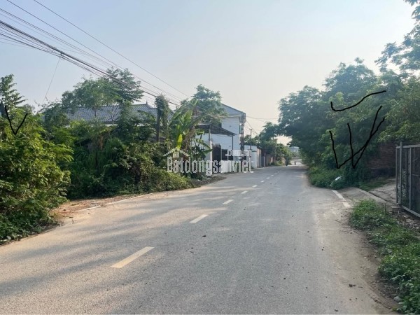 Bán Đất Thôn Cõi, cổng chính khu công nghiệp Tam Dương 1, Vĩnh Phúc 206m, MT 10m, 1tỷ 700 xây nhà