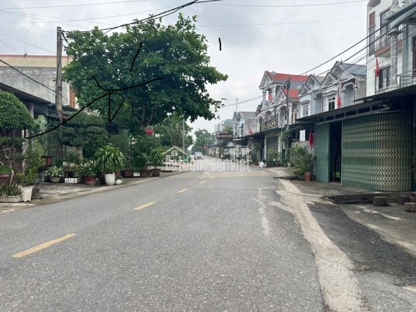 Bán Đất Thôn Cõi, cổng chính khu công nghiệp Tam Dương 1, Vĩnh Phúc 206m, MT 10m, 1tỷ 700 xây nhà