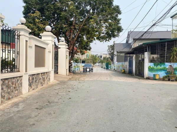 Bán Đất Thôn Cõi, cổng chính khu công nghiệp Tam Dương 1, Vĩnh Phúc 206m, MT 10m, 1tỷ 700 xây nhà