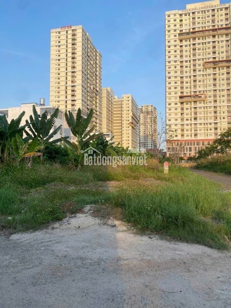 🚨 THUẬN AN CƯ – LÔ GÓC – GẦN MẶT TIỀN - Q7 – H.ẺM 289 TRẦN XUÂN SOẠN – 4x12.5 – NH.ỈNH 4 T.Ỷ