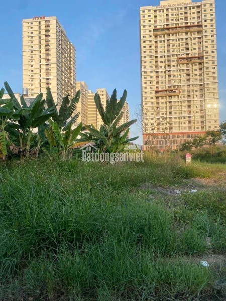 🚨 THUẬN AN CƯ – LÔ GÓC – GẦN MẶT TIỀN - Q7 – H.ẺM 289 TRẦN XUÂN SOẠN – 4x12.5 – NH.ỈNH 4 T.Ỷ
