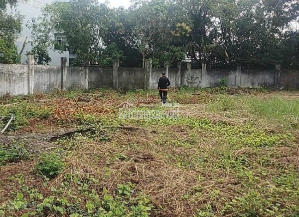 [SIÊU PHẨM] MẶT TIỀN KÊNH TÂN HÓA TÂN PHÚ – 750m2 (15m x 50m)