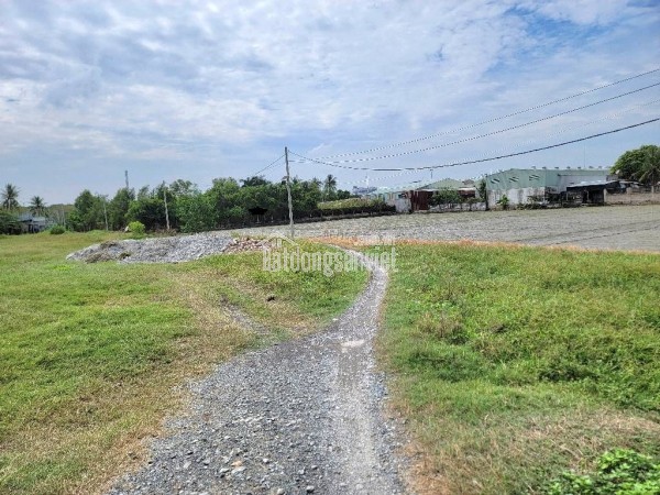 [MIẾNG ĐẤT ĐẸP] MẶT TIỀN TÔ KÝ QUẬN 12 – 10.000m2 (50m x 200m)