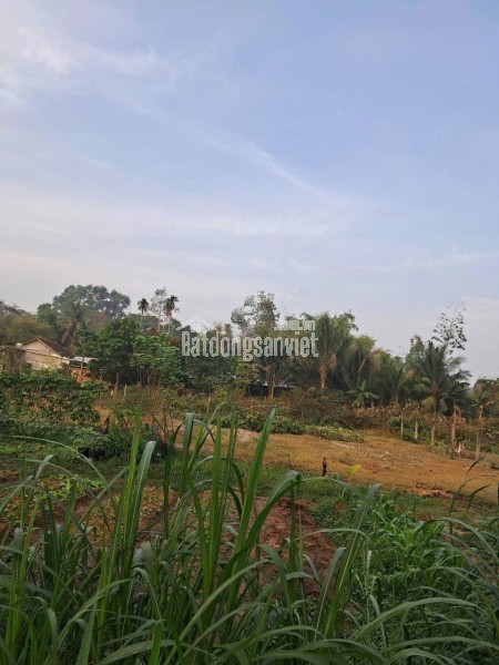 CƠ HỘI HIẾM ĐẤT FULL THỔ CƯ 2 MẶT TIỀN CỦ CHI