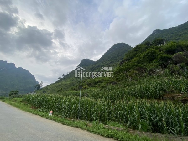 CHÍNH CHỦ CẦN BẢN MẢNH ĐẤT TRỤC ĐƯỜNG TL 181 CÁN TỶ - HÀ GIANG