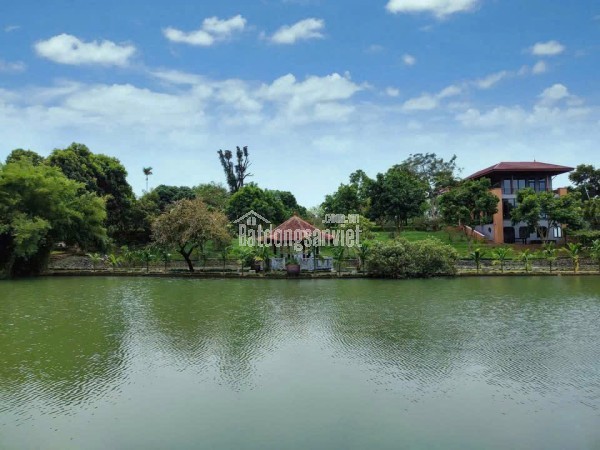 Chính chủ bán gấp lô đất view hồ tại Hòa Lạc 100m2 full thổ cư,sẵn sổ công chứng trong ngày
