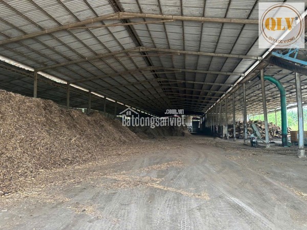 Cho thuê nhà xưởng khuôn viên lớn – Chơn Thành, Bình Phước – 9.870m²