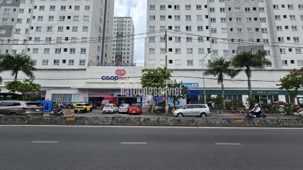 Sổ Đỏ 74m² Huỳnh Thiện Lộc, Tân Phú - Giá Tốt 3.6 Tỷ - Cơ Hội Có 1-0-2, Liên Hệ Ngay!
