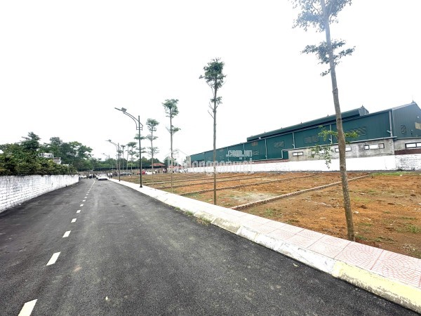 🔥 CỔ ĐÔNG – LÔ ĐẤT 2 MẶT TIỀN ĐÁNG XUỐNG TIỀN NHẤT HIỆN TẠI