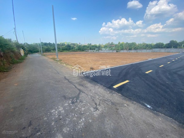 Bán gấp đất thổ cư 216m2, sổ đỏ tại Trảng Bom, Đồng Nai. Giá 5 tỷ. LH: 0342768165