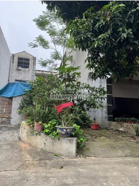 CHÍNH CHỦ BÁN ĐẤT ĐẸP KHU ĐỒI ÔNG TO – PHƯỜNG NÔNG TRANG, TP. VIỆT TRÌ, PHÚ THỌ