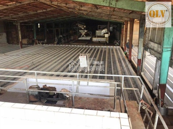 Bán nhà máy chế biến mủ cao su – mặt tiền ĐT741, Bình Phước – 20.000m²