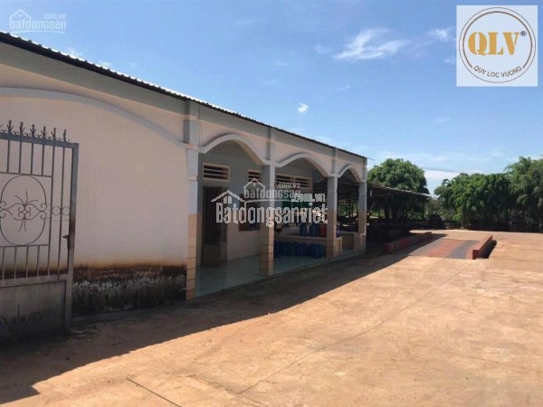 Bán nhà máy chế biến mủ cao su – mặt tiền ĐT741, Bình Phước – 20.000m²