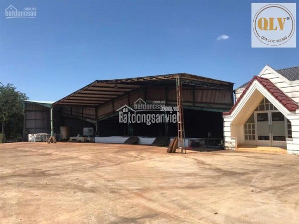 Bán nhà máy chế biến mủ cao su – mặt tiền ĐT741, Bình Phước – 20.000m²
