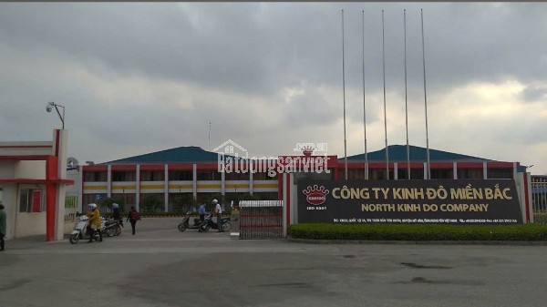 KINH ĐÔ – TUYỂN DỤNG CHÍNH THỨC và THỜI VỤ - Bần Yên Nhân, Mỹ Hào, Hưng Yên