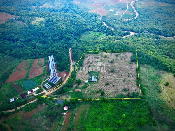 ANH CHỊ SẼ TRẢ GIÁ BAO NHIÊU ĐỂ ĐỔI LẤY 5ha ĐẤT VÀNG NÀY?