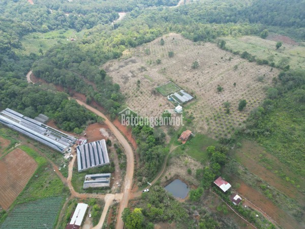 ANH CHỊ SẼ TRẢ GIÁ BAO NHIÊU ĐỂ ĐỔI LẤY 5ha ĐẤT VÀNG NÀY?