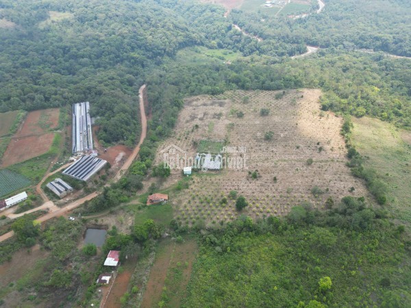 ANH CHỊ SẼ TRẢ GIÁ BAO NHIÊU ĐỂ ĐỔI LẤY 5ha ĐẤT VÀNG NÀY?