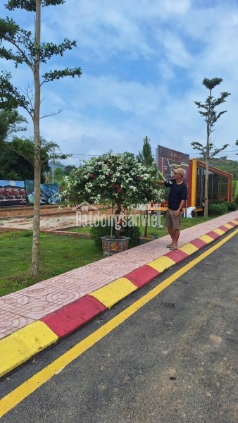 Bán lô đất Phú Cát 100m2 full thổ cư, đường trục chính kinh doanh, giá chỉ 28tr.m2