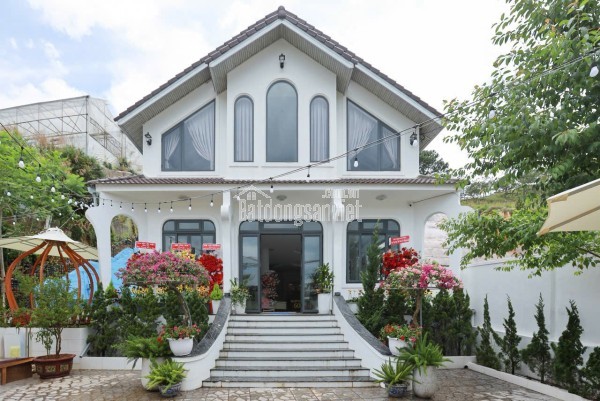 Cho thuê Villa đồi Đa Phú săn mây sân vườn và hồ bơi cực chill 50 triệu/tháng