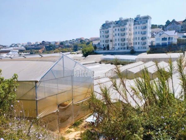BÁN ĐẤT MẶT TIỀN LÊ HỒNG PHONG - ĐỨC TRỌNG, LÂM ĐỒNG