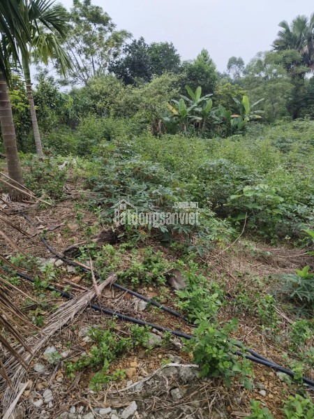 CHO THUÊ VĂN PHÒNG – PHƯỜNG VÕ CƯỜNG, BẮC NINH