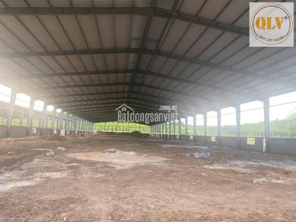 BÁN NHÀ XƯỞNG – AN THÁI , PHÚ GIÁO, BÌNH DƯƠNG – 31.952m²